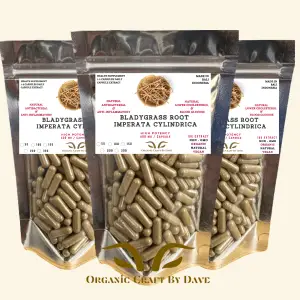 Bladygrass Root Extract Capsules – Harness the Natural Healing Power of Imperata Cylindrica for Vitality, Wellness, and Healing