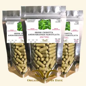 Wellness Support Supplement