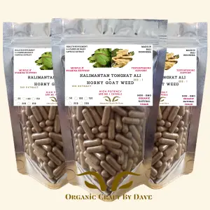Tongkat Ali + Horny Goat Weed Extract Capsules – Natural Vitality Supplement for Men