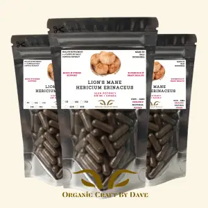 Lion's Mane Capsules (Hericium erinaceus): Enhance Memory, Focus, and Nerve Health Naturally