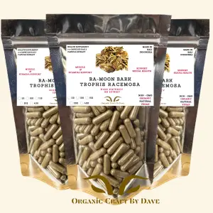 Trophis Racemosa (Ramoon Bark) Extract Capsules – Natural Support for Immunity, Vitality, and Wellness