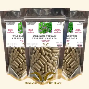Blue Vervain Extract Capsules (Verbena hastata): Natural Support for Relaxation and Wellness